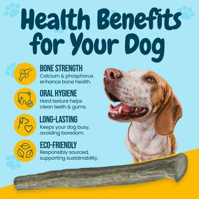 Golosinas para perros de asta de ciervo entera de 7 a 10 pulgadas, grandes, paquete de 3