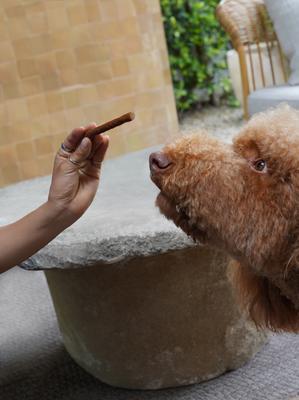 Slow Cooked Beef Sticks Jerky Dog Treats, 14-oz bag