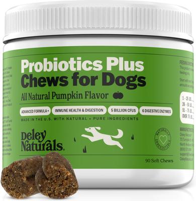 Probiotic Plus Pumpkin Flavored Chews Supplement for Dogs, 9.525-oz carton, 90 count