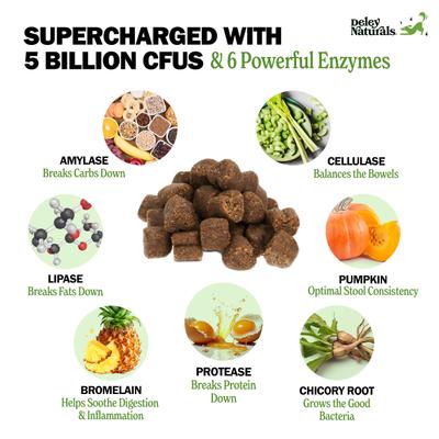 Probiotic Plus Pumpkin Flavored Chews Supplement for Dogs, 9.525-oz carton, 90 count