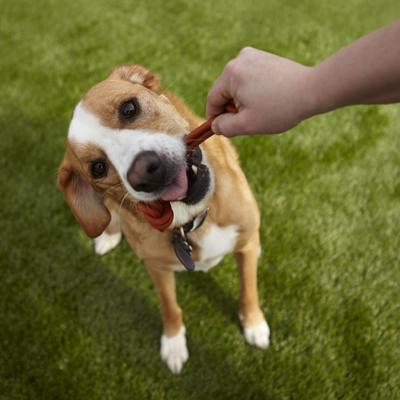 Small Knotted Dog Treats, 4 count