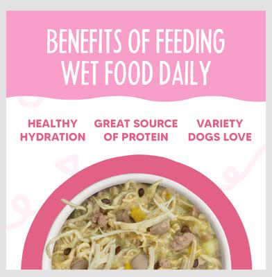 Meals 'n More Natural Wet Dog Food, Amazon Livin' Plus Digestive Support, 3.5-oz cup, 12 count