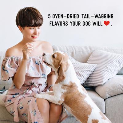 Dogs Love Chicken Grain-Free Jerky Dog Treats, 16-oz bag