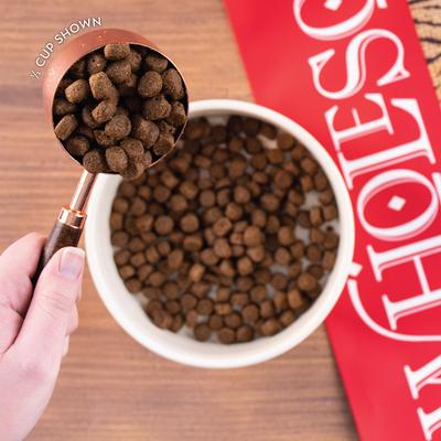 Chicken Meal & Rice Formula Adult Dry Dog Food, 40-lb bag