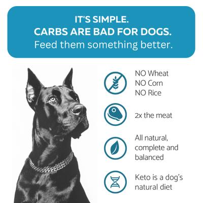 Ketona Salmon Recipe Grain-Free Adult Dry Dog Food, 4.2-lb bag