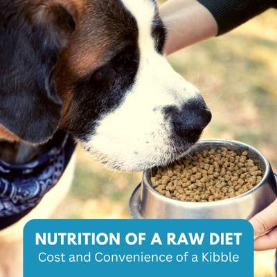 Ketona Salmon Recipe Grain-Free Adult Dry Dog Food, 4.2-lb bag