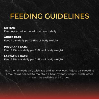 Tuna with Salmon in Gravy Wet Cat Food, 2.82-oz can, case of 24