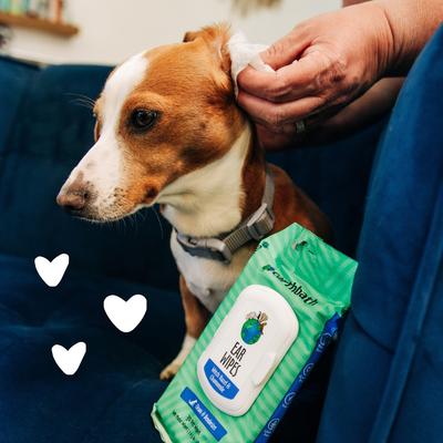 Witch Hazel & Chamomile Cat & Dog Ear Wipes, 30 count