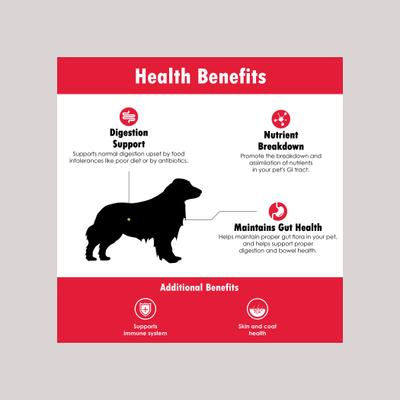 Chicken Flavored Soft Chew Digestive Supplement for Dogs, 60 count