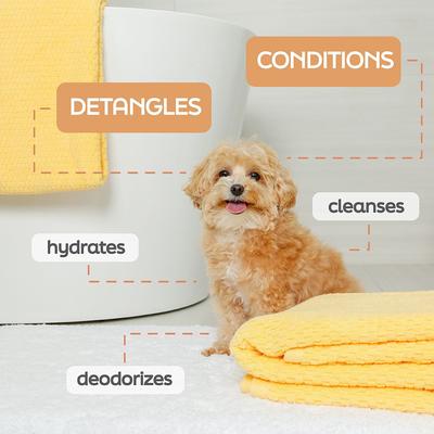 True Coat Curly or Wavy Detangles & Conditions with Oat Milk, Coconut Oil & Shea Butter Dog Shampoo, 16-fl oz bottle