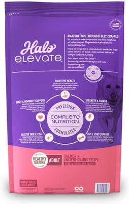 Elevate Healthy Grains Salmon Recipe Dry Dog Food, 20-lb bag
