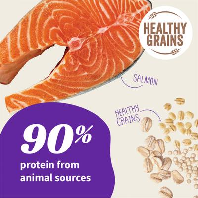 Elevate Healthy Grains Salmon Recipe Dry Dog Food, 20-lb bag