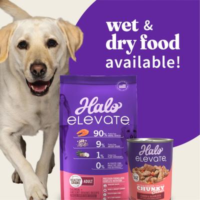 Elevate Healthy Grains Salmon Recipe Dry Dog Food, 20-lb bag