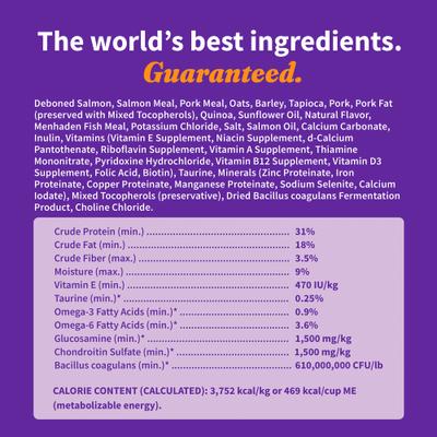 Elevate Healthy Grains Salmon Recipe Dry Dog Food, 20-lb bag