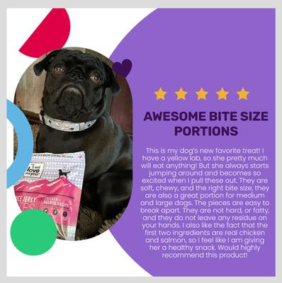 Nice Jerky Bites Chicken and Salmon Grain-Free Dog Treats, 4-oz bag