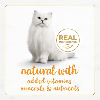 Gourmet Naturals Turkey Recipe Pate Canned Cat Food, 3-oz can, case of 12