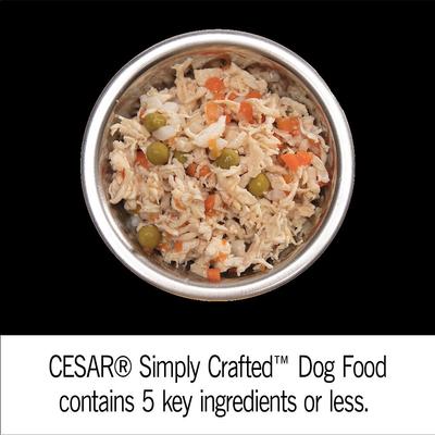 Simply Crafted Chicken Cuisine Complement Adult Wet Dog Food Topper, 1.3-oz tubs, case of 24