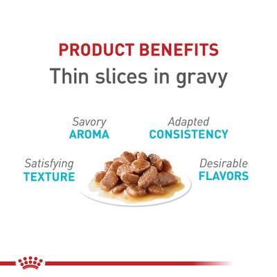 Alimento húmedo para gatos Feline Care Nutrition Urinary Care Thin Slices in Gravy, lata de 3 oz, caja de 6