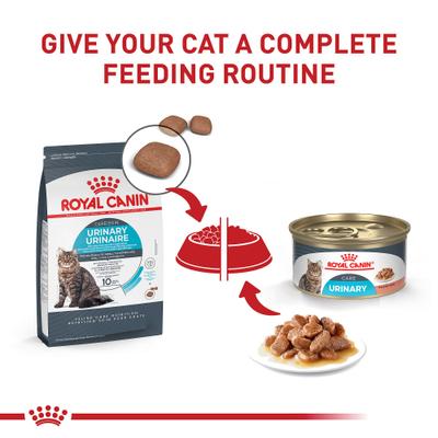 Alimento húmedo para gatos Feline Care Nutrition Urinary Care Thin Slices in Gravy, lata de 3 oz, caja de 6