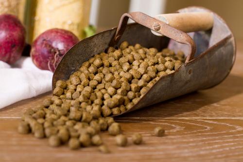 Field & Stream Recipe Lamb & Whitefish Meals Dry Dog Food, 26-lb bag