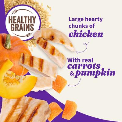 Elevate Kettle Cooked Chunky Healthy Grains Chicken Stew with Carrots, Pumpkin & Brown Rice Wet Dog Food, 12.7-oz can, case of 6