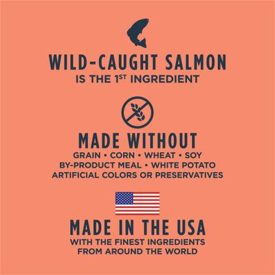 Raw Boost Adult Grain-Free Real Salmon Recipe Dry Dog Food, 19-lb bag