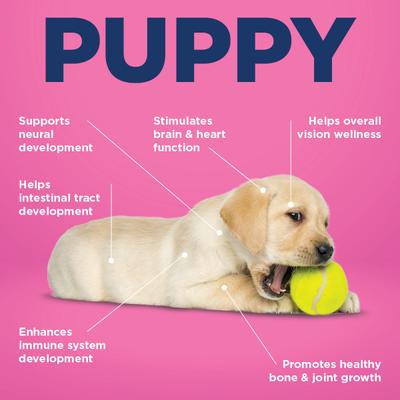 ALL-IN 1 Multifunctional Supplements for Puppy Dogs, 90 count