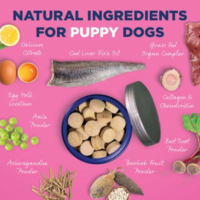 ALL-IN 1 Multifunctional Supplements for Puppy Dogs, 90 count