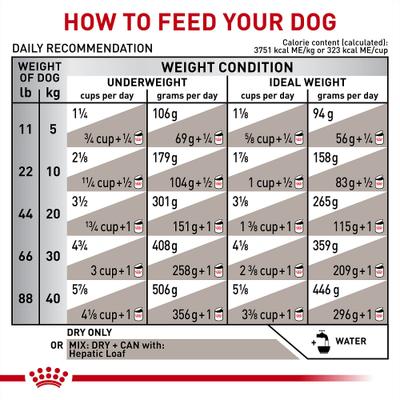 Adult Hepatic Dry Dog Food, 26.4-lb bag