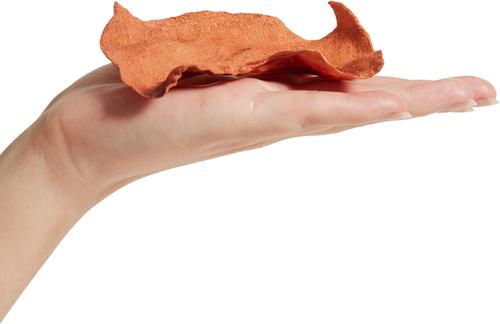 DogLicious Chicken Flavor Chips Rawhide Dog Treats, 3-oz bag