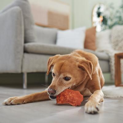 DogLicious Chicken Flavor Chips Rawhide Dog Treats, 3-oz bag