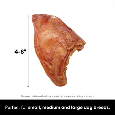 Made in USA Pig Ear Chews Dog Treats, 1 count