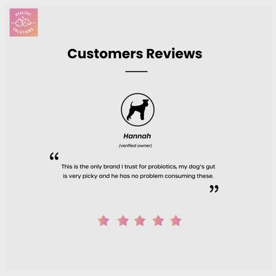 Probiotics & Digestive Chews with Prebiotics, 60 count