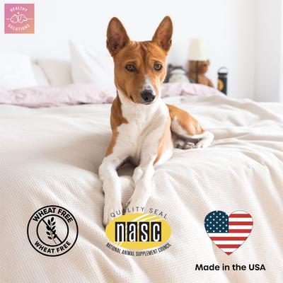 Probiotics & Digestive Chews with Prebiotics, 60 count