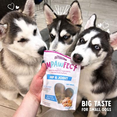 Impawfect Hip & Joint Support Sweet Potato & Turmeric Flavored Soft & Chewy Dog Treats, 4.5-oz bag