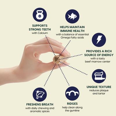 Fortify Brushless Toothpaste Small Dental Dog Treats, 12-oz bag