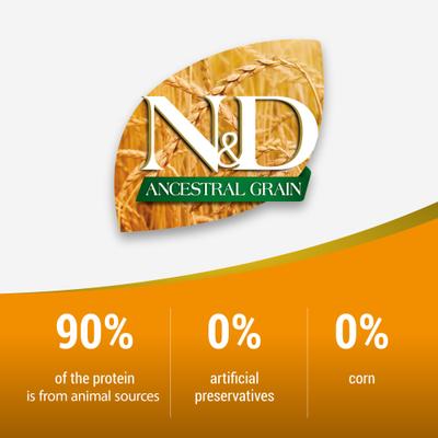 N&D Ancestral Grain Lamb & Blueberry Medium & Maxi Adult Dry Dog Food, 5.5-lb bag