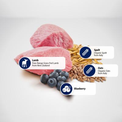 N&D Ancestral Grain Lamb & Blueberry Medium & Maxi Adult Dry Dog Food, 5.5-lb bag