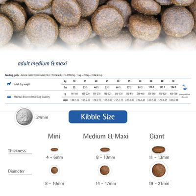 N&D Ancestral Grain Lamb & Blueberry Medium & Maxi Adult Dry Dog Food, 5.5-lb bag