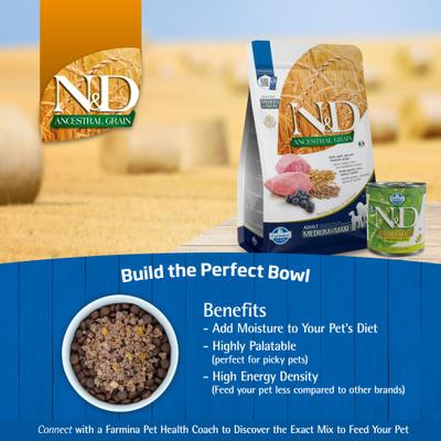N&D Ancestral Grain Lamb & Blueberry Medium & Maxi Adult Dry Dog Food, 5.5-lb bag