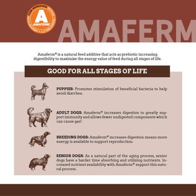 24-10 Senior Dog Food, 1-lb bag