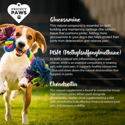 Original Grain-Free Hip & Joint Dog Supplement Chews, 120 count