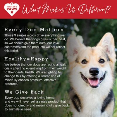 Original Grain-Free Hip & Joint Dog Supplement Chews, 120 count