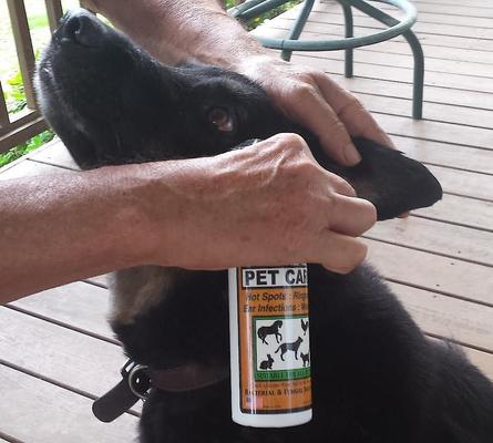 Pet Care+ Wound Care & Anti-Itch Spray for Dogs, Cats & Small Pets, 8-fl oz bottle