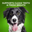 BioActive Fresh Mouth Grain-Free Medium Dental Dog Treats, 10 count
