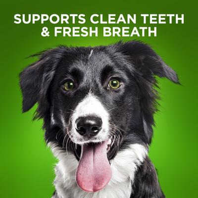 BioActive Fresh Mouth Grain-Free Medium Dental Dog Treats, 10 count