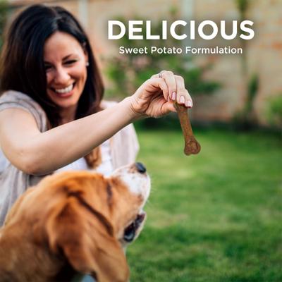 BioActive Fresh Mouth Grain-Free Medium Dental Dog Treats, 10 count