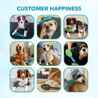 2-in-1 Dog Brush & Hair Remover