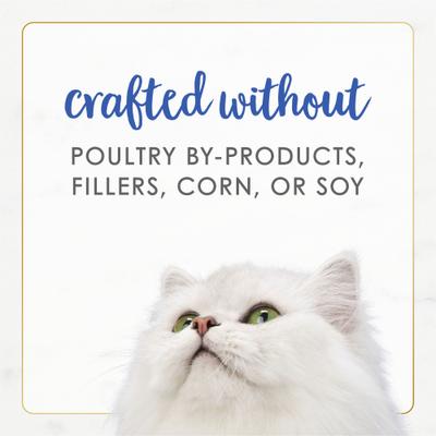 Gourmet Naturals Natural Rainbow Trout Recipe In Gravy Canned Cat Food, 3-oz can, case of 12