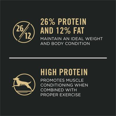 Paquete: alimento seco Purina Pro Plan para adultos de razas grandes con mezcla desmenuzada de pollo y arroz + premios Milk-Bone Original Large Biscuit para perros